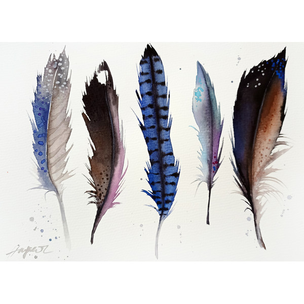 watercolors bird feathers