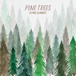 Watercolor Pine Trees Clipart / Christmas Trees / Winter Tree Clipart / Watercolor Woodland Forest / Christmas Trees PNG