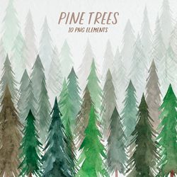 watercolor pine trees clipart / christmas trees / winter tree clipart / watercolor woodland forest / christmas trees png