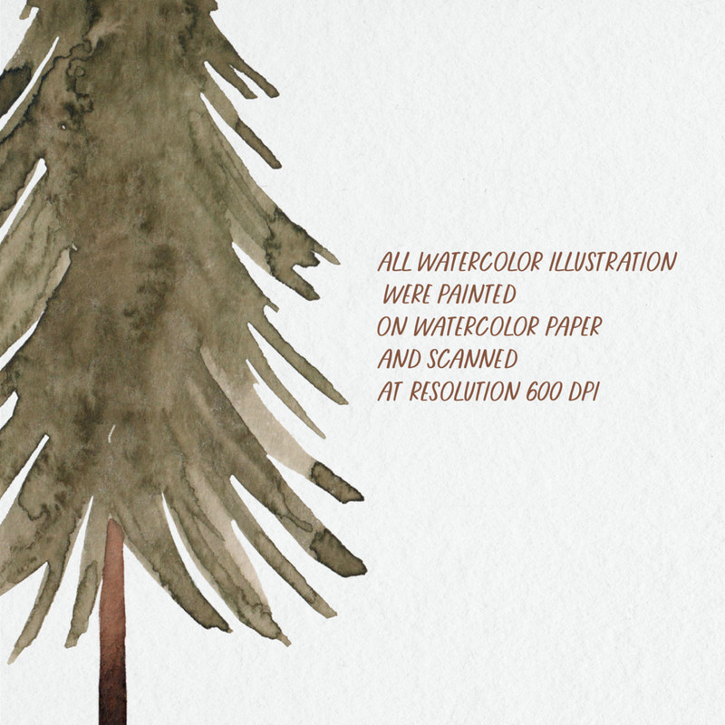 Watercolor Pine Trees Clipart 4.jpg