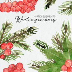 Watercolor Christmas Greenery Clipart / Winter Greenery / Holly Jolly Clipart / Winter Holiday / Hand Painted / PNG