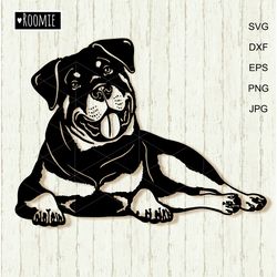 Rottweiler svg for Cricut, Peeking dog, Rottie Shirt Design, Car Decal Clipart Vector Cut file Vinyl /150