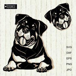 Rottweilers portrait svg for Cricut, Peeking dog, Rottie Shirt Design, Car Decal Clipart Vector Cut file Vinyl /151