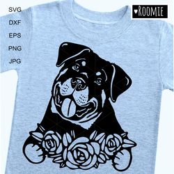 rottweiler with flowers svg shirt design for cricut, rottie face, car decal clipart vector cut file vinyl /155