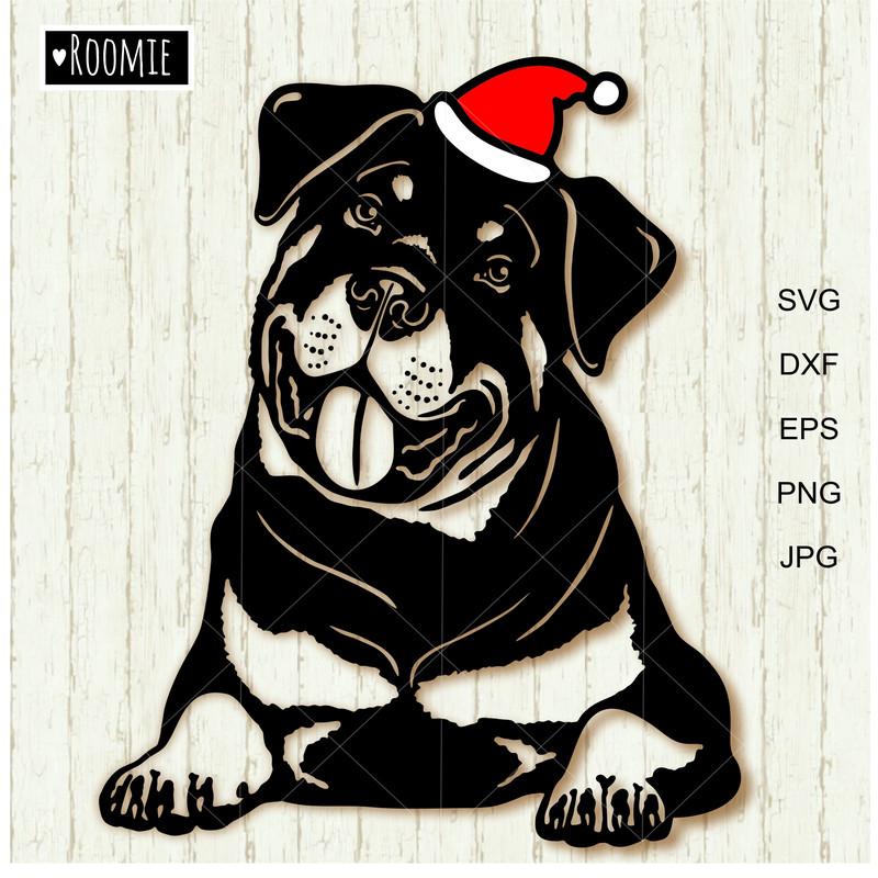 Christmas Rottweiler with Santa hat.jpg