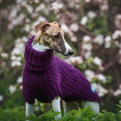 Warm knitted dog sweater. Whippet sweater. Fashion clothes for dogs. Size XL
