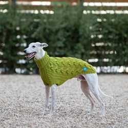 Knitted clothes for dogs. Fashionable sweater for dog breed whippet. Cotton sweater for dog. Size XL