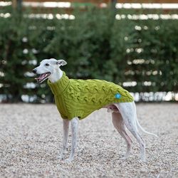 knitted clothes for dogs. fashionable sweater for dog breed whippet. cotton sweater for dog. size xl