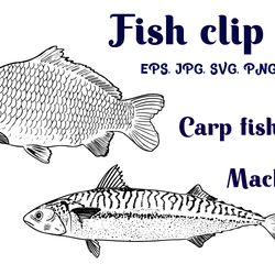 fish clipart,carp, mackerel, fish svg, fish art, fishing gif