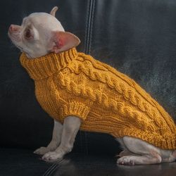 Knitted clothes for dog. Sweater for a small dog.