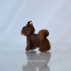 10-yorkshire-terrier-toy-back-view.jpg