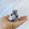 4-cutest-raccoon-in-miniature.jpg