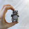 5-tiny-realistic-raccoon-in-hand.jpg