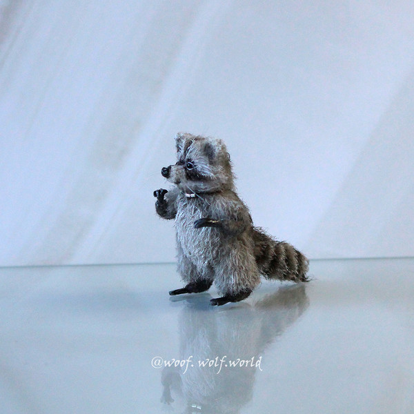 9-so-cute-tiny-raccoon-like-real.jpg
