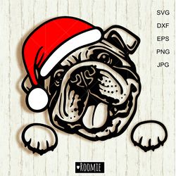 Christmas American bulldog with Santa hat svg, English bulldog Shirt design, Car Decal Clipart Vector Cutfile Vinyl /195