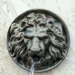 Lion Head wall water spout outdoor  Rosette spitter  Water fountain emitter Pool water feature