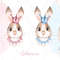 Rabbits 1 Prinсesses Banner (1).jpg