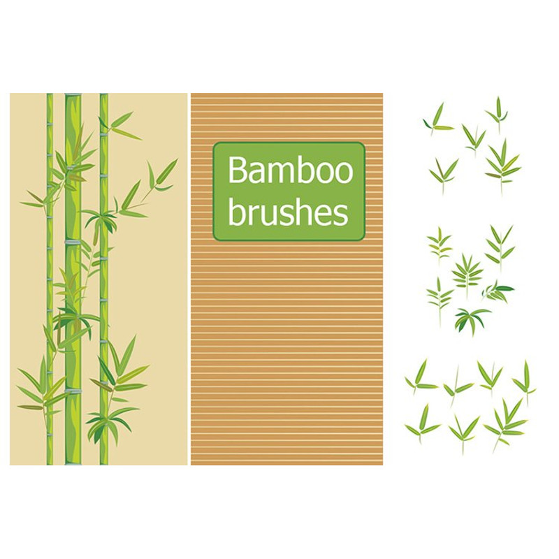 bamboo-brushes.jpg