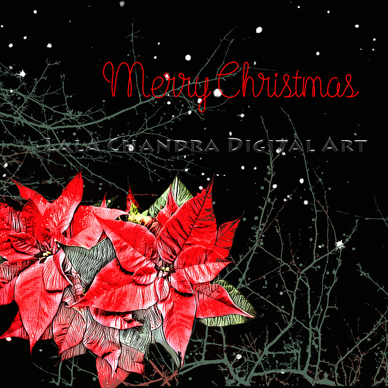 Merry Christmas!.jpg