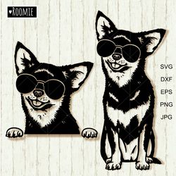 Chihuahua With Sunglasses SVG Cricut Shirt Design, Laser Cut File Cameo Vinyl Sublimation Car Decal Clipart Vector /175