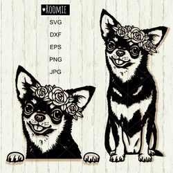 Chihuahua With Flower Crown SVG Cricut Shirt Design, Laser Cut File Cameo Vinyl Sublimation Decal Clipart Vector /176