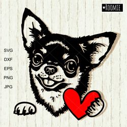 cute chihuahua with heart shirt design svg, dog portrait laser cut file vinyl sublimation car decal clipart cricut /180