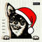 Christmas-Chihuahua-with-Santa-hat.jpg