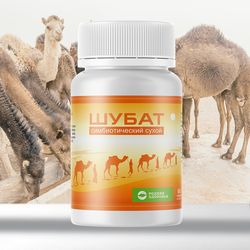 Shubat symbiotic dry (Dry camel milk) 60 tabs