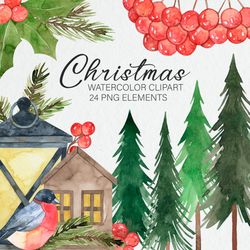 Watercolor Christmas Clipart / Winter Holiday Clipart / Pine cone / Red Berries / Hand-painted illustrations PNG