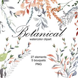 Watercolor botanical clipart.