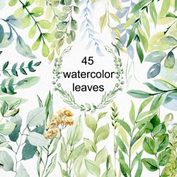 Watercolor Leaves Clipart.