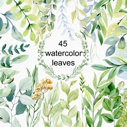 watercolor leaves clipart.