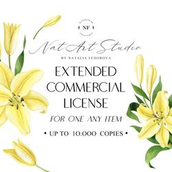 Extended Commercial License for single product. NatArtStudio.