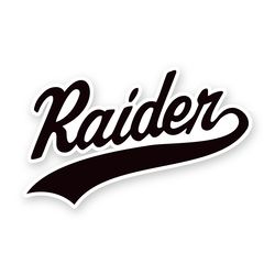 Las Vegas Raiders Decals Stickers Car Decal Oakland Riders Fathead Window Vinyl NFL Helmet Sticker Football Team