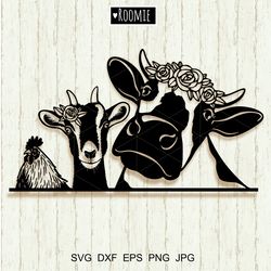 Farm Animals Clipart With Flowers Svg Cricut, Cow Goat Rooster Svg, farmhouse sign, Cut file Cameo Silhouette Vinyl
