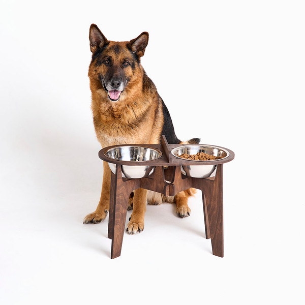 Dog bowls stand for large dogs, raised dog food bowl, elevat - Inspire  Uplift