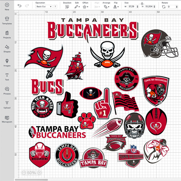 buccaneers logo.jpg