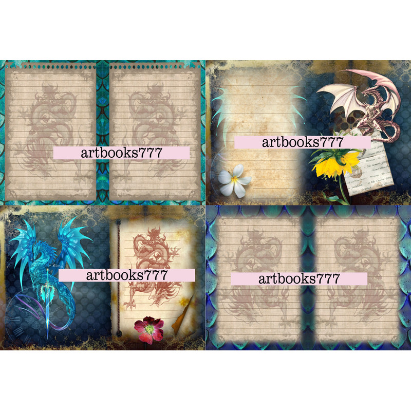 z4.png