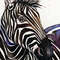 zebra watercolor painting animal art by Anne Gorywine