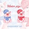 Pig 1 Winter set Banner 01.jpg