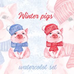 Pigs PNG clipart. Winter animal PNG clipart