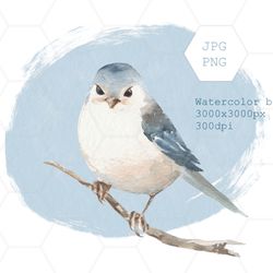 Watercolor bird clipart. Digital clipart png, cute bird sublimation design