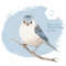 White bird illustration 00 B (1).jpg