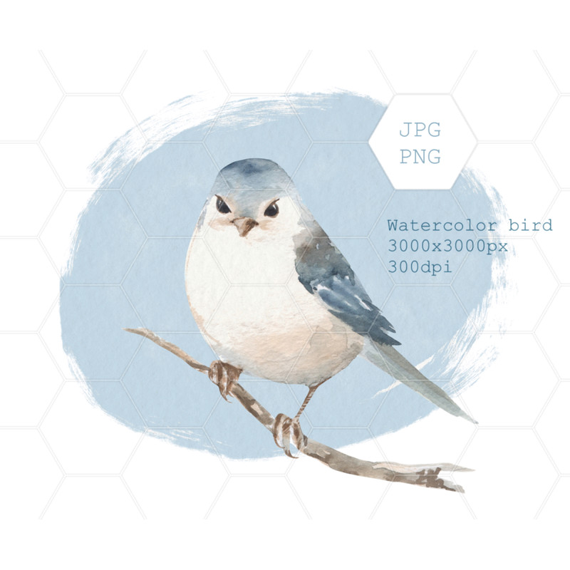 White bird illustration 00 B (1).jpg