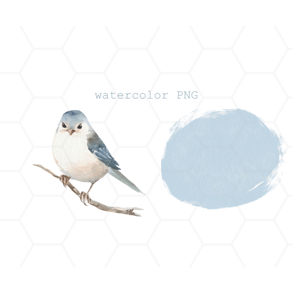 White bird illustration 00 B (2).jpg