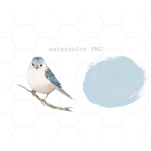White bird illustration 00 B (2).jpg
