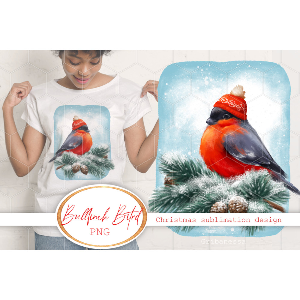 Bullfinch Bird Christmas sublimation 1 B 01.jpg