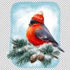 Bullfinch Bird Christmas sublimation 1 B 02.jpg