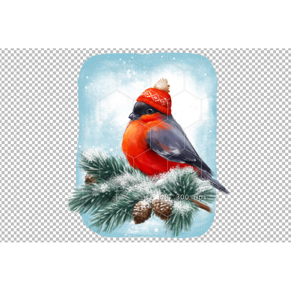 Bullfinch Bird Christmas sublimation 1 B 02.jpg