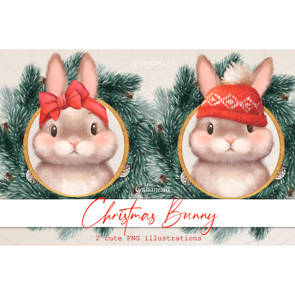 Christmas Bunny 1 (1).jpg